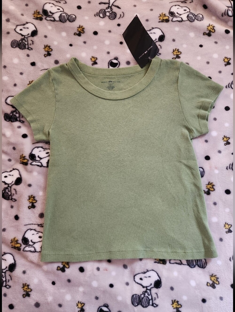 Brandy Melville Cropped Tee